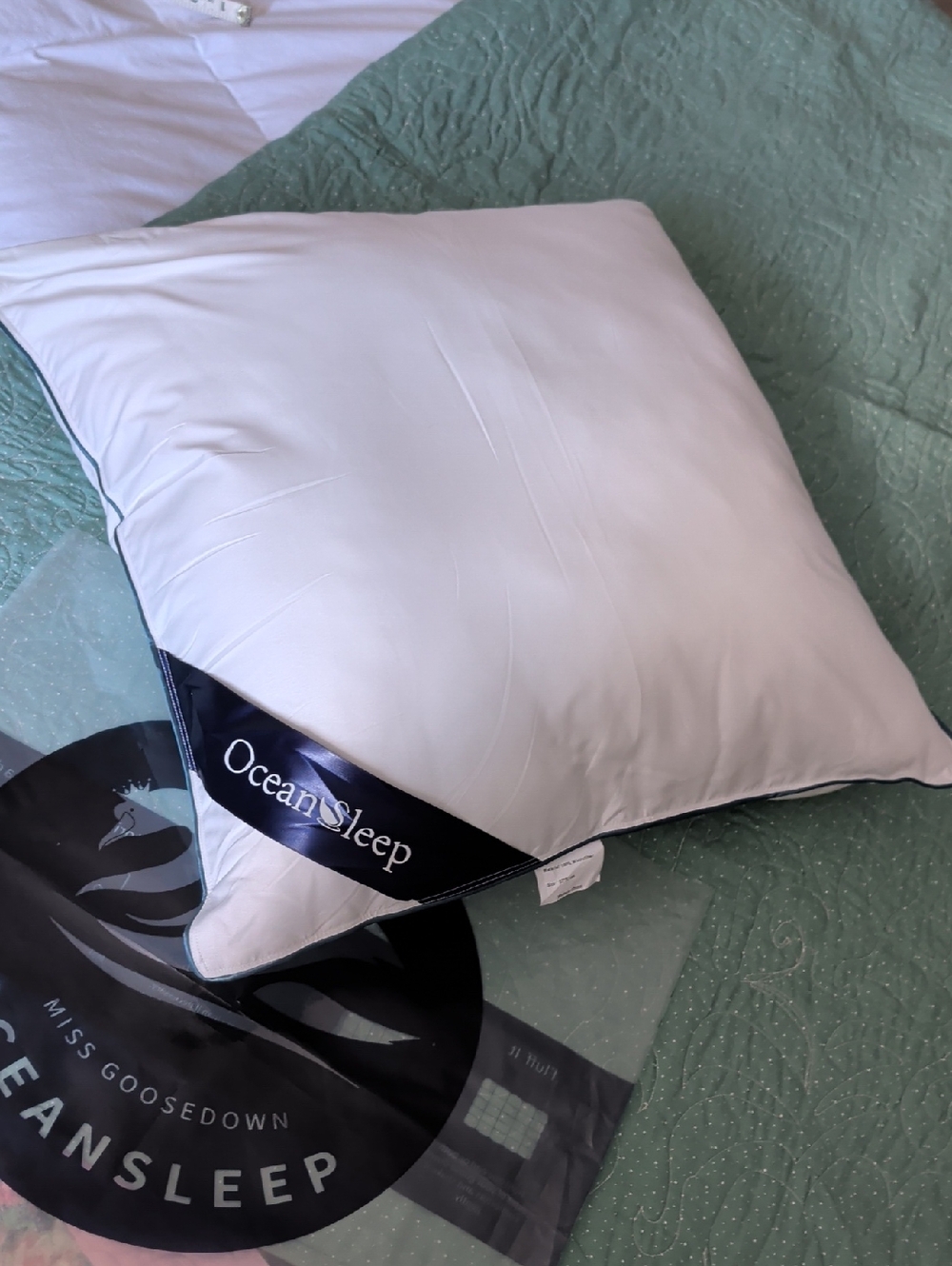Pillow - Plush Support